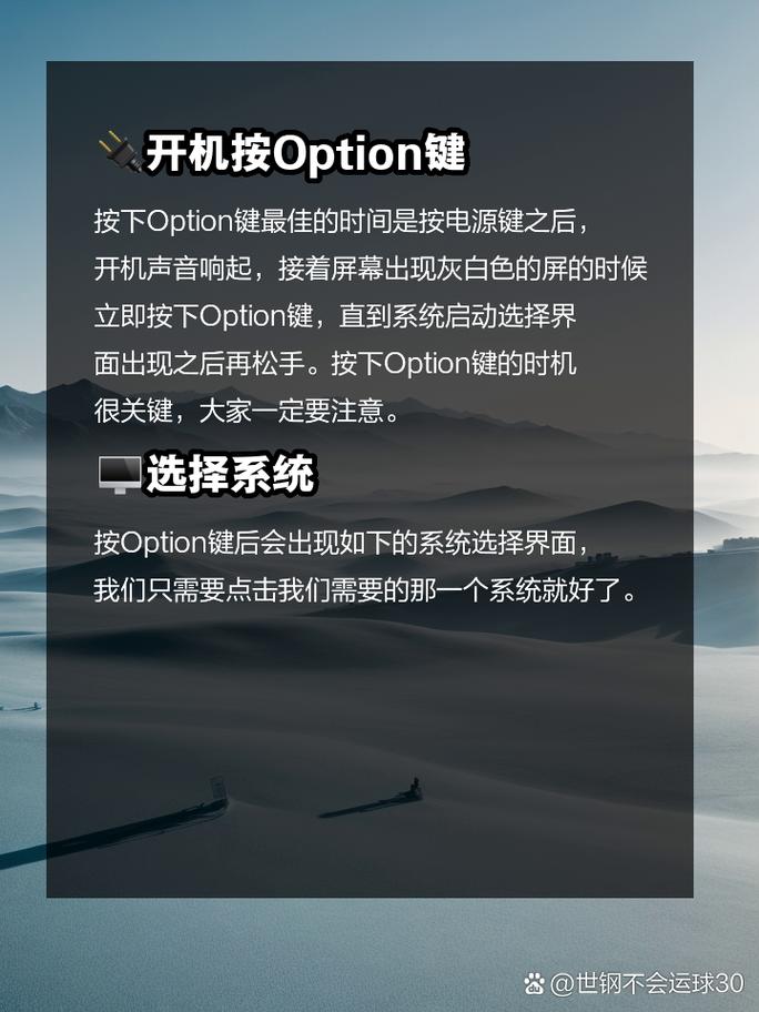 苹果电脑如何做系统