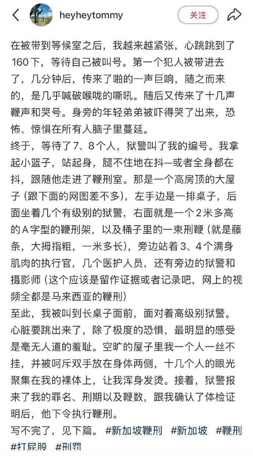 新加坡将对诈骗分子处以鞭刑