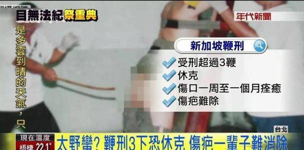 新加坡将对诈骗分子处以鞭刑