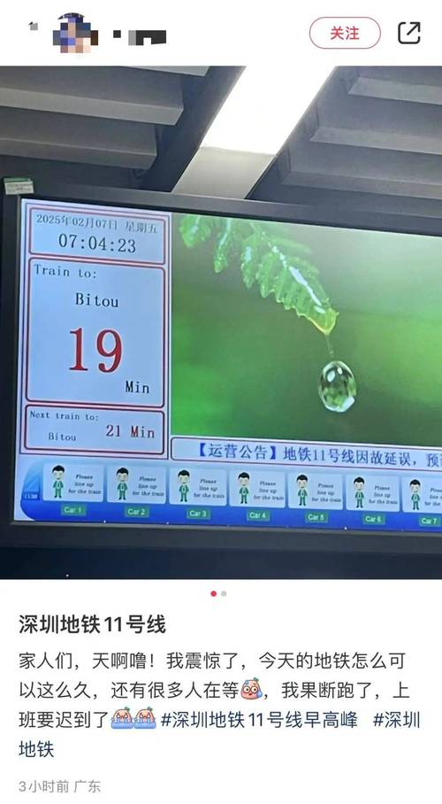 深圳地铁回应小猪标识用途
