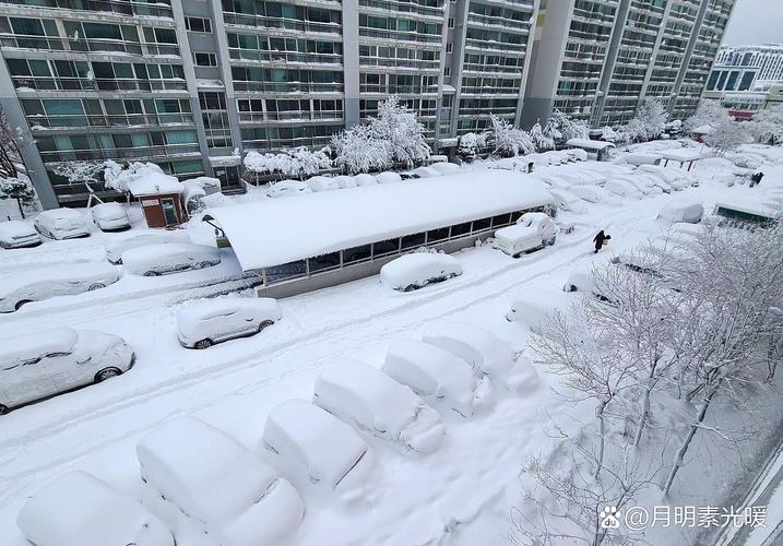 局地积雪20厘米 大雪大暴雪要来了