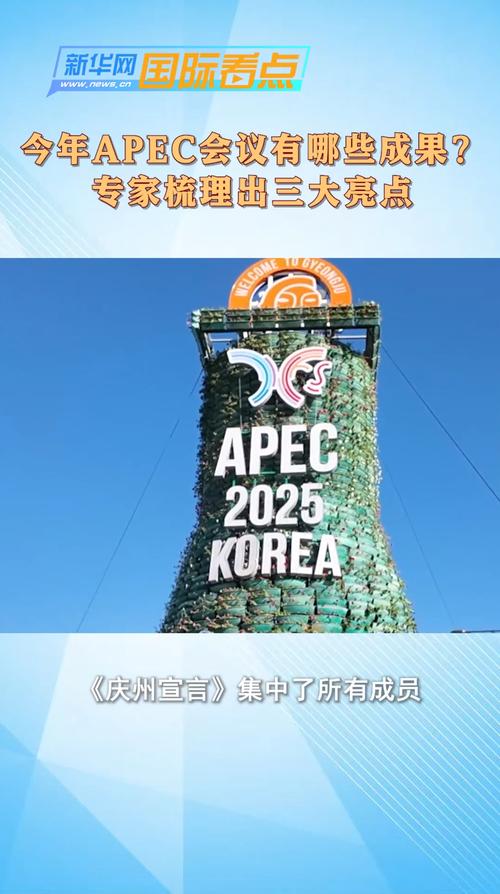 今年APEC会议有哪些成果