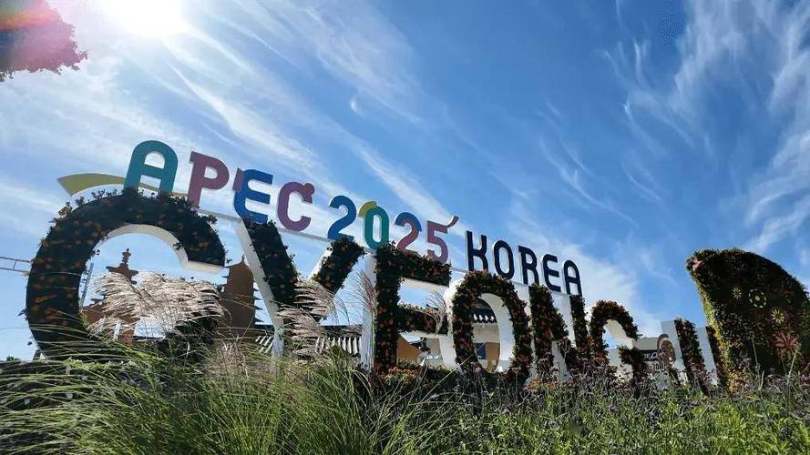 今年APEC会议有哪些成果