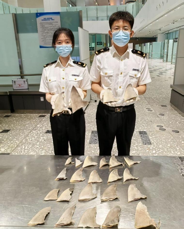 海关罚没物品“内部处理”不实