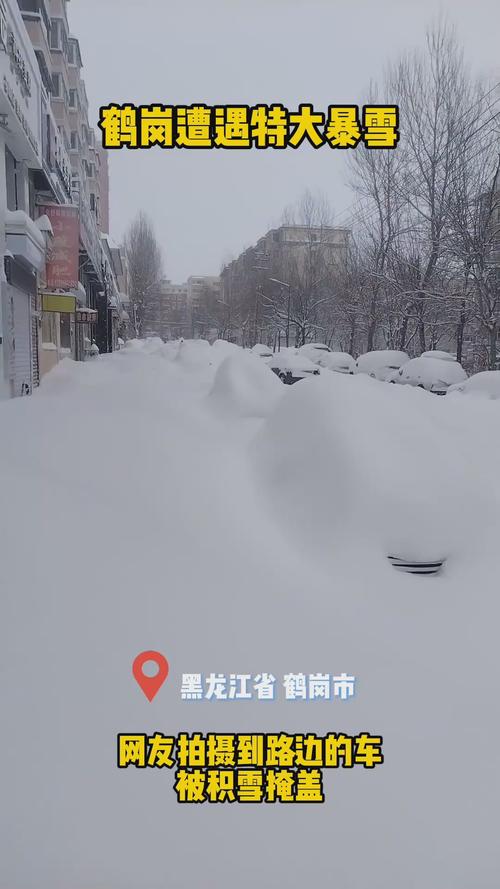 暴雪大暴雪要来了 多大的雪才算暴雪