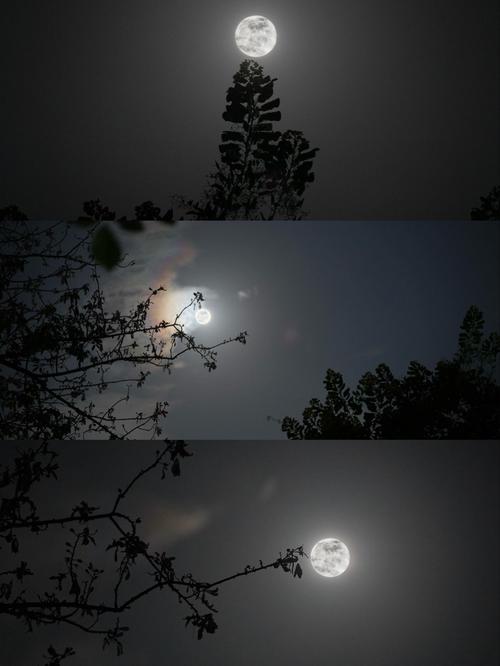 #晒晒你拍的超级大月亮#