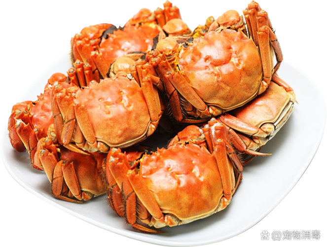 浙大食堂8.8元一只螃蟹引热议