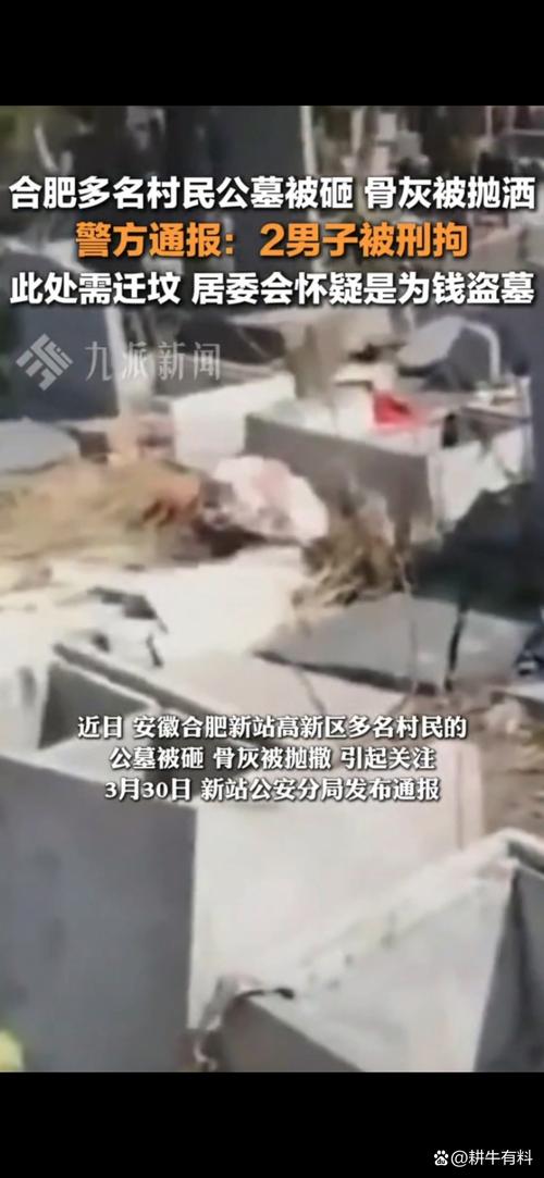 河南一公墓遭有组织冲击 3人被拘