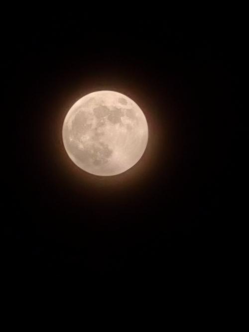 60秒直击今年最大“超级月亮”