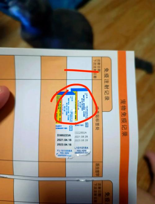 疫苗“配方”变了 看看有啥不一样