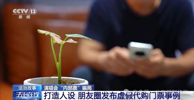 央视起底演唱会“内部票”骗局