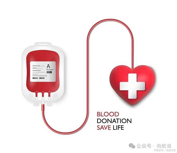 为啥献血400ml没事 失血400ml很危险