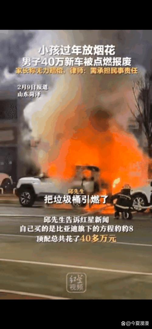 充劣质电致车辆自燃？造谣者被抓