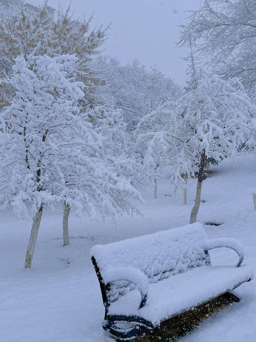 乌鲁木齐特大暴雪破纪录