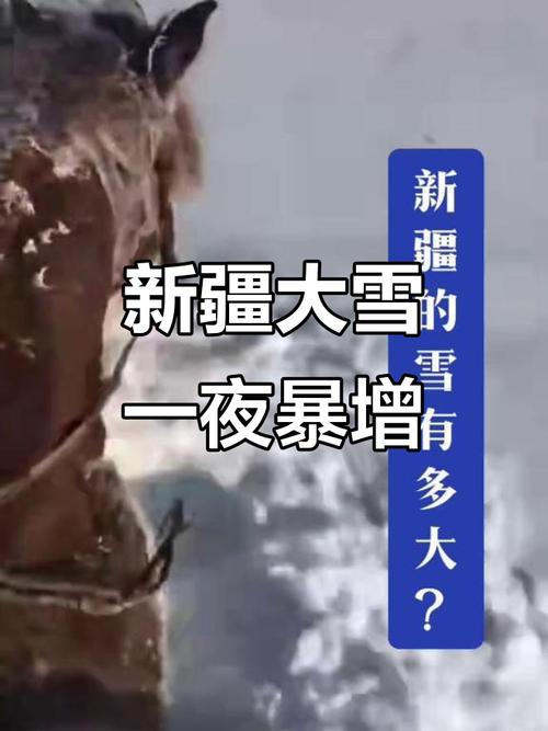 乌鲁木齐特大暴雪破纪录