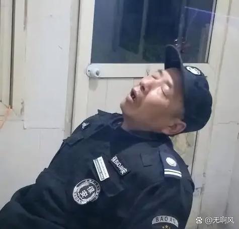 安徽天柱山“高颜值保安团”走红