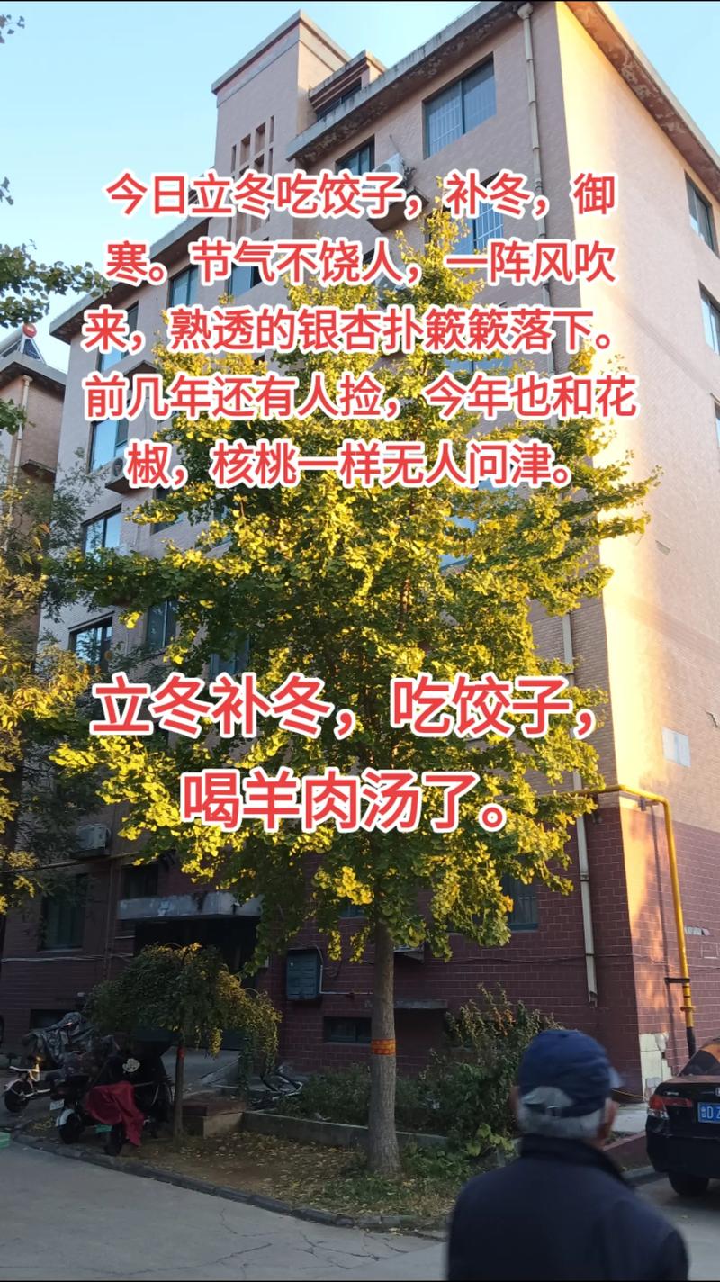 立冬该吃饺子还是喝羊肉汤