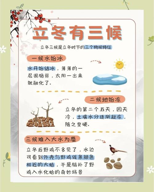 立冬该吃饺子还是喝羊肉汤