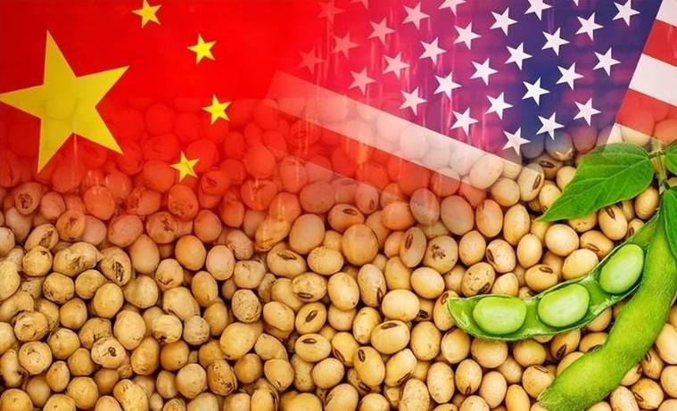 美大豆出口协会：中国市场无可替代