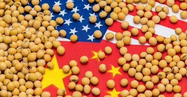 美大豆出口协会：中国市场无可替代