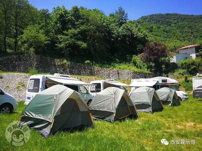 女子在小区里遛企鹅 社区：违法