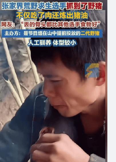 张家界荒野求生选手抓野猪吃到流油
