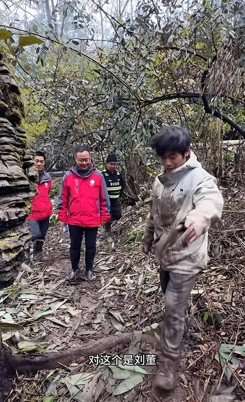 张家界荒野求生选手抓野猪吃到流油