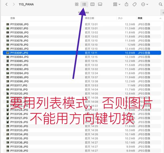 苹果电脑如何删软件