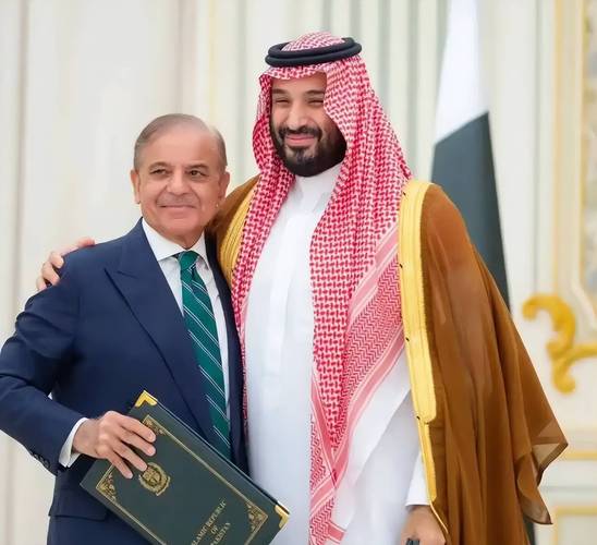 巴基斯坦投资部长：中国经验值得借鉴