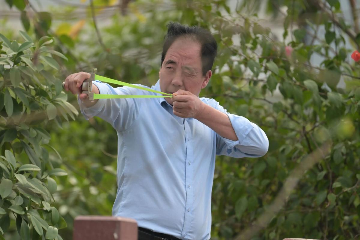 男子每天下班弹弓打鸟 涉刑事犯罪