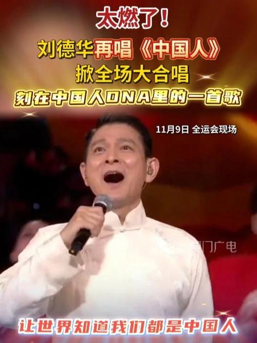 刘德华再唱《中国人》掀全场大合唱