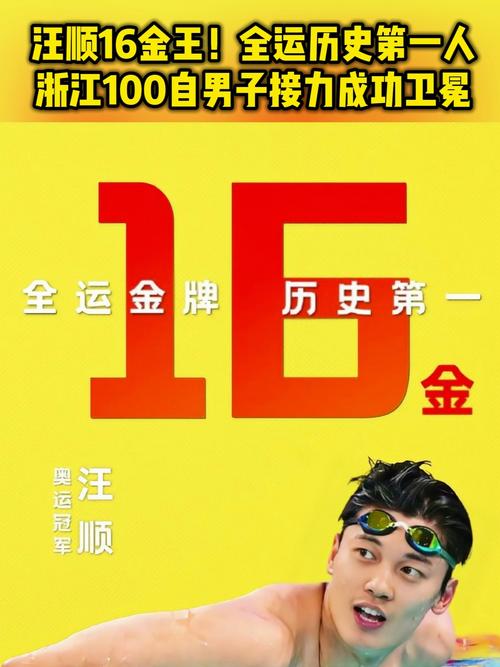 汪顺获全运会第16金