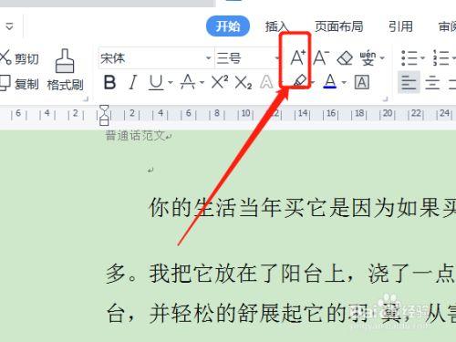 如何把电脑字放大