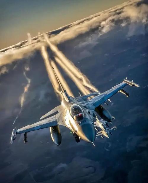 歼-16飞行员视距以内与敌机缠斗