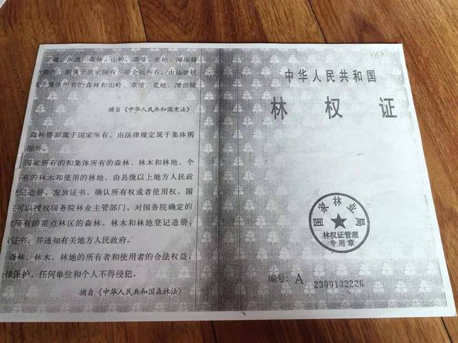 农户响应号召种树 成材后被禁止采伐