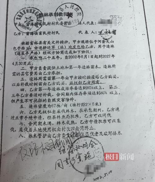 农户种300亩杨树被禁止砍伐