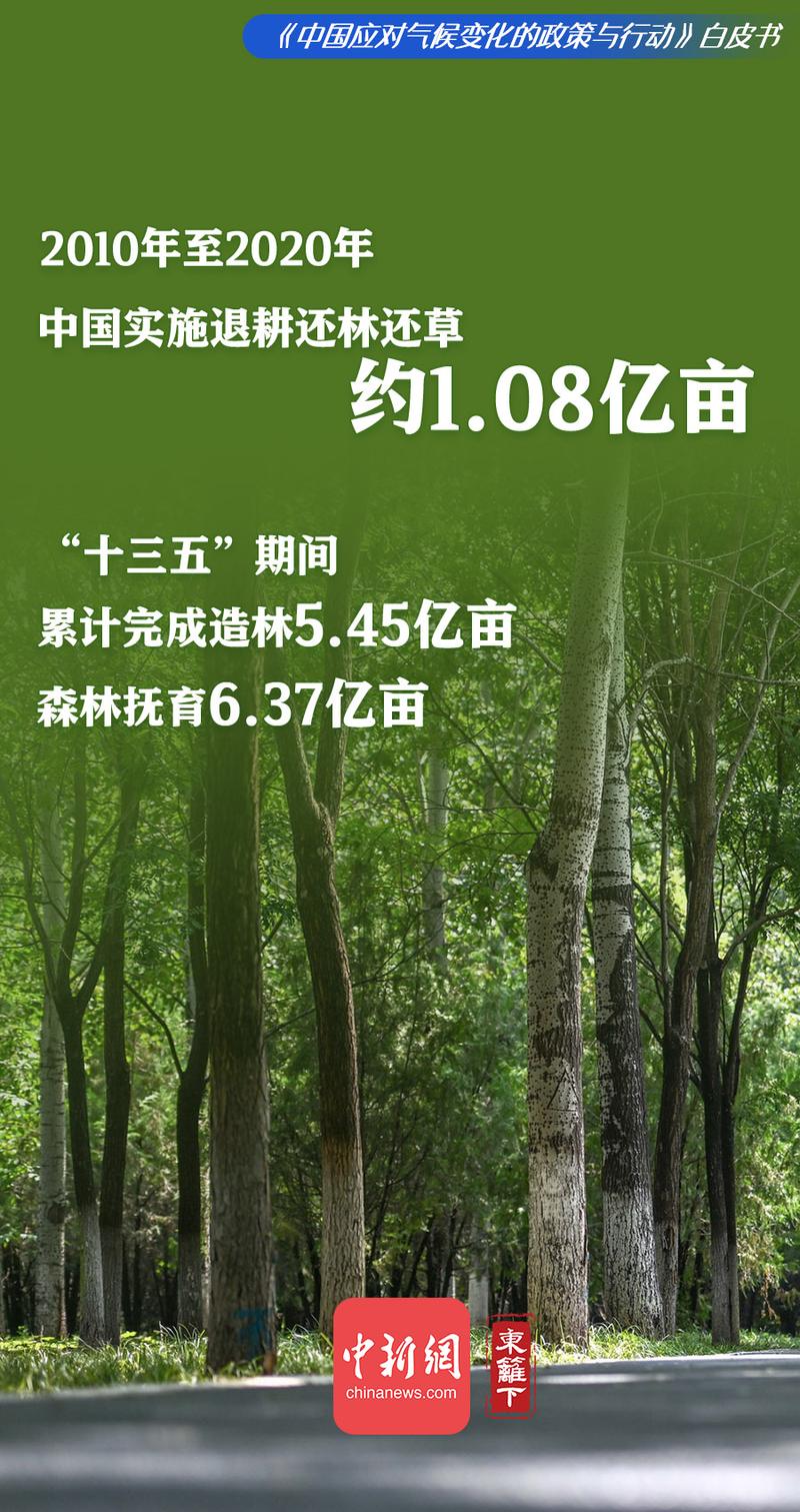 美州长反复称中国气候治理有远见