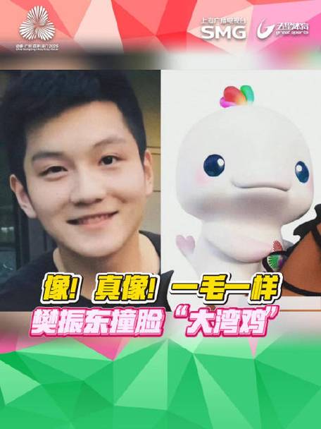 樊振东撞脸“大湾鸡”