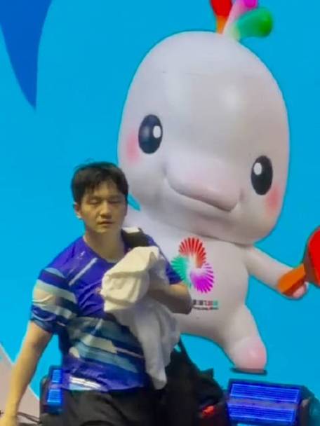 樊振东撞脸“大湾鸡”