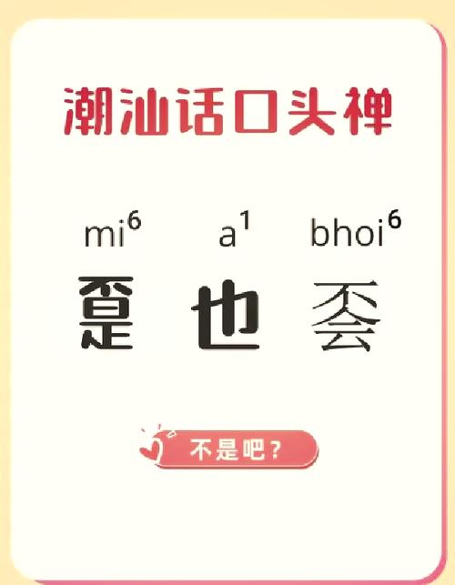 微信翻译功能已解锁潮汕话