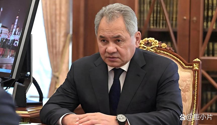 绍伊古：俄日关系正常化或需数年时间