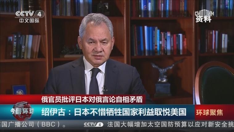 绍伊古：俄日关系正常化或需数年时间