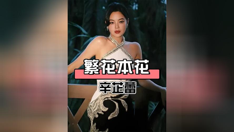 辛芷蕾：东北人就是敢说敢闯有韧性