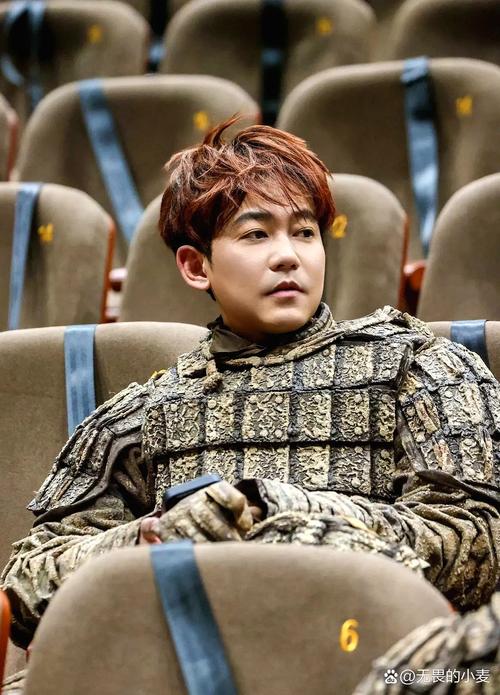 苏醒坦言水平一般 已基本放弃写歌