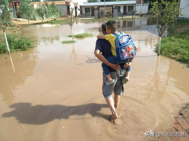 村民好意搭载老人 遇车祸免于起诉