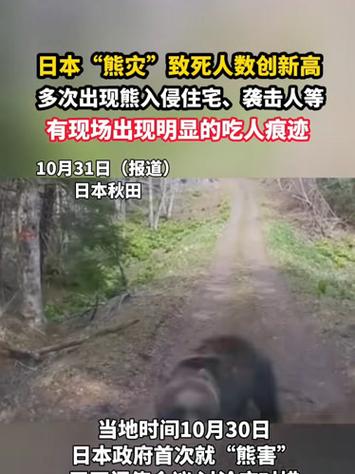 日本“熊灾”遇害人数创新高