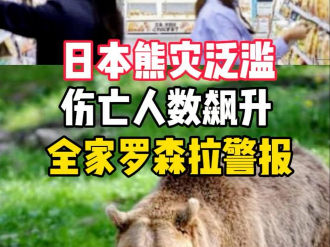 日本“熊灾”遇害人数创新高