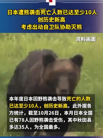日本“熊灾”遇害人数创新高