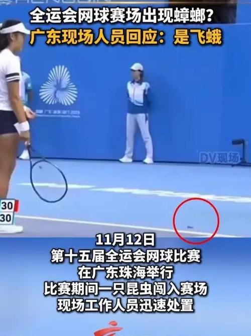 全运会网球赛场现蟑螂？竞委会发声明
