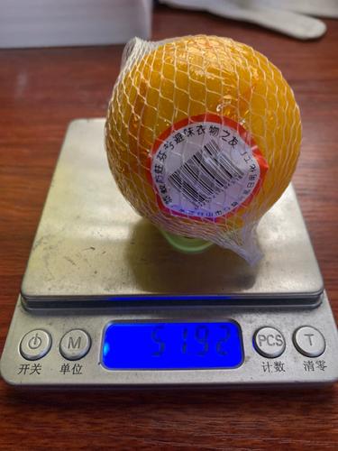 全运会网球赛场现蟑螂？竞委会发声明